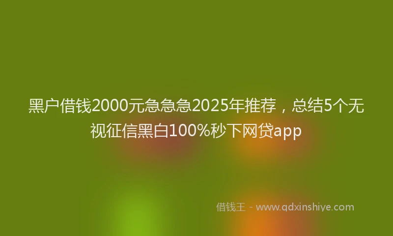 黑户借钱2000元急急急2025年推荐，总结5个无视征信黑白100%秒下网贷app