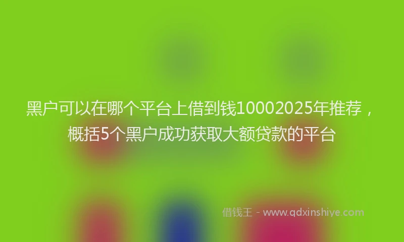 黑户可以在哪个平台上借到钱10002025年推荐，概括5个黑户成功获取大额贷款的平台