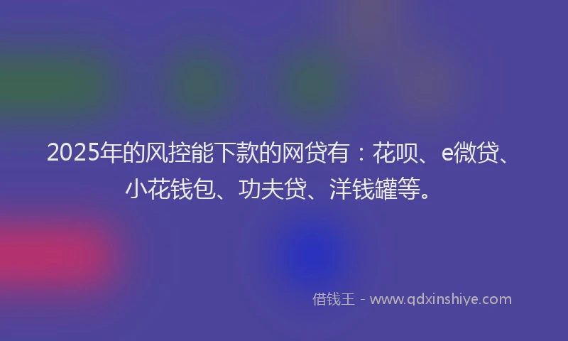 2025年的风控能下款的网贷有：花呗、e微贷、小花钱包、功夫贷、洋钱罐等。
