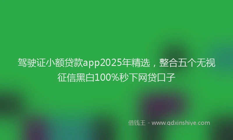 驾驶证小额贷款app2025年精选，整合五个无视征信黑白100%秒下网贷口子