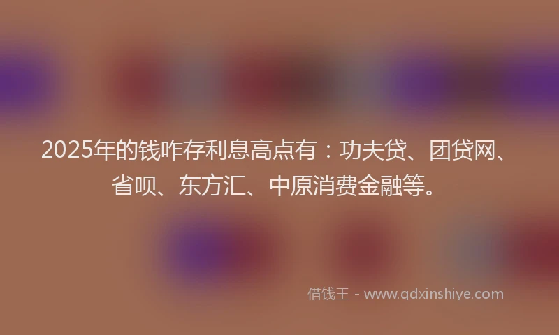 2025年的钱咋存利息高点有：功夫贷、团贷网、省呗、东方汇、中原消费金融等。