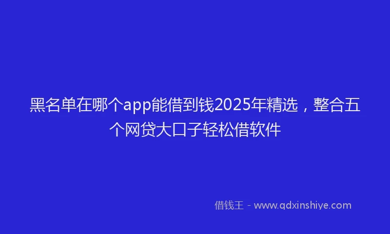黑名单在哪个app能借到钱2025年精选，整合五个网贷大口子轻松借软件