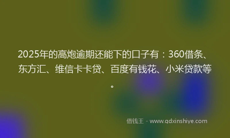2025年的高炮逾期还能下的口子有：360借条、东方汇、维信卡卡贷、百度有钱花、小米贷款等。