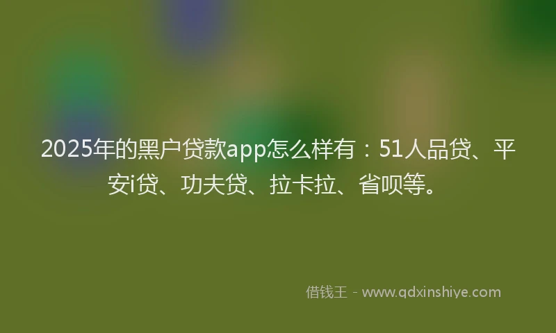 2025年的黑户贷款app怎么样有：51人品贷、平安i贷、功夫贷、拉卡拉、省呗等。