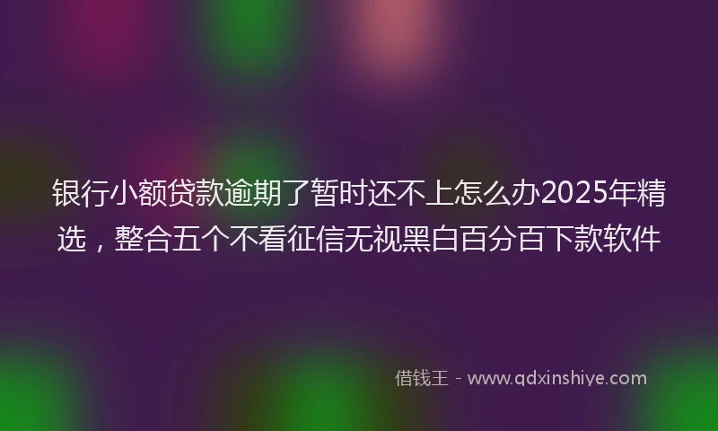 银行小额贷款逾期了暂时还不上怎么办2025年精选，整合五个不看征信无视黑白百分百下款软件