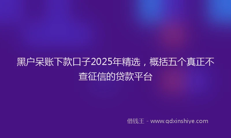 黑户呆账下款口子2025年精选，概括五个真正不查征信的贷款平台