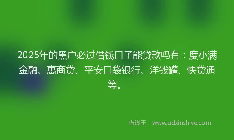 2025年的黑户必过借钱口子能贷款吗有：度小满金融、惠商贷、平安口袋银行、洋钱罐、快贷通等。