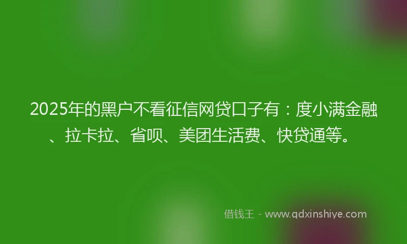 2025年的黑户不看征信网贷口子有：度小满金融、拉卡拉、省呗、美团生活费、快贷通等。