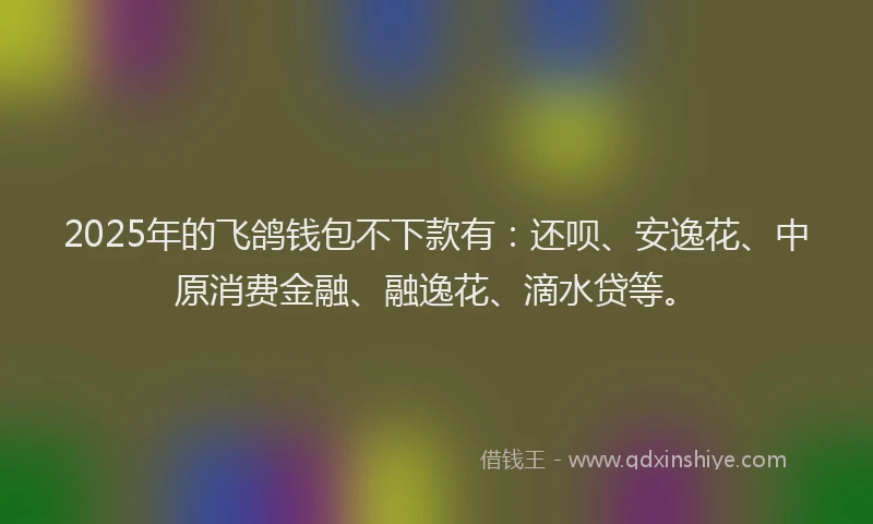 2025年的飞鸽钱包不下款有：还呗、安逸花、中原消费金融、融逸花、滴水贷等。
