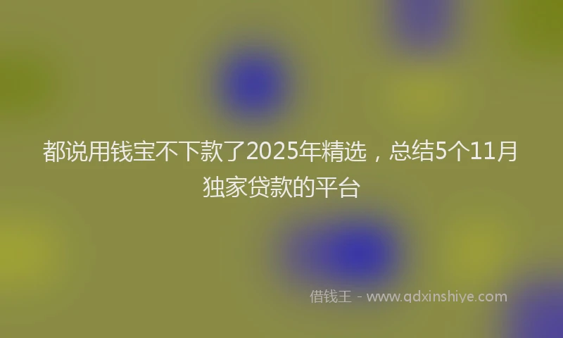 都说用钱宝不下款了2025年精选，总结5个11月独家贷款的平台