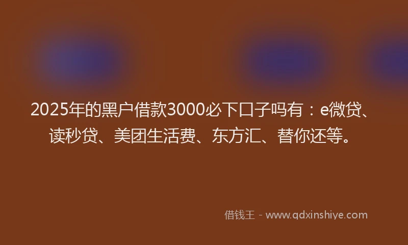 2025年的黑户借款3000必下口子吗有：e微贷、读秒贷、美团生活费、东方汇、替你还等。