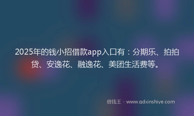 2025年的钱小招借款app入口有：分期乐、拍拍贷、安逸花、融逸花、美团生活费等。