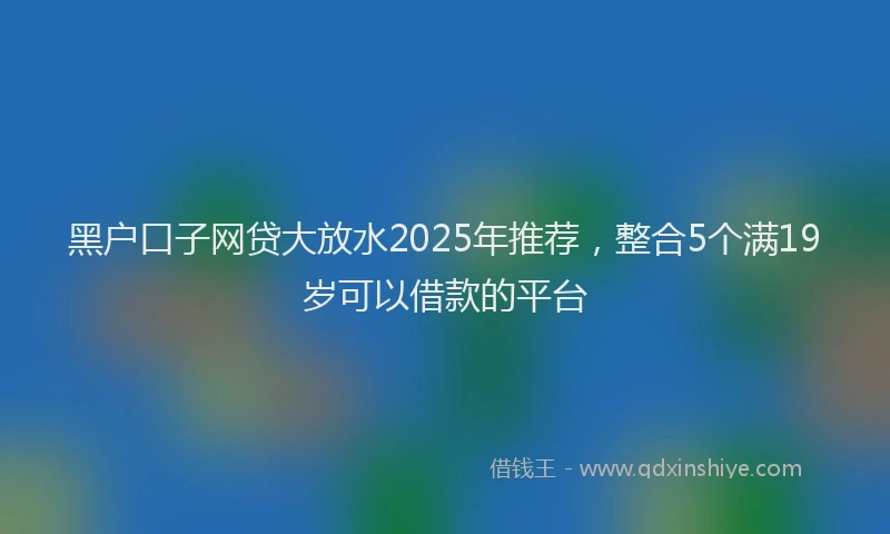 黑户口子网贷大放水2025年推荐，整合5个满19岁可以借款的平台