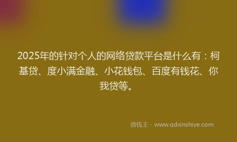 2025年的针对个人的网络贷款平台是什么有：柯基贷、度小满金融、小花钱包、百度有钱花、你我贷等。