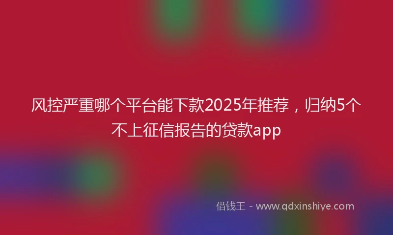 风控严重哪个平台能下款2025年推荐，归纳5个不上征信报告的贷款app