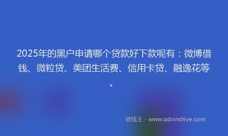 2025年的黑户申请哪个贷款好下款呢有：微博借钱、微粒贷、美团生活费、信用卡贷、融逸花等。