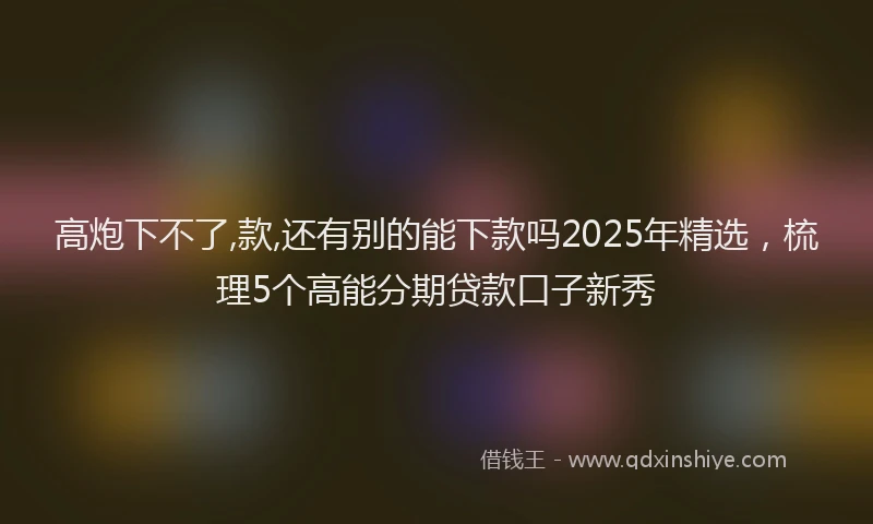 高炮下不了,款,还有别的能下款吗2025年精选，梳理5个高能分期贷款口子新秀