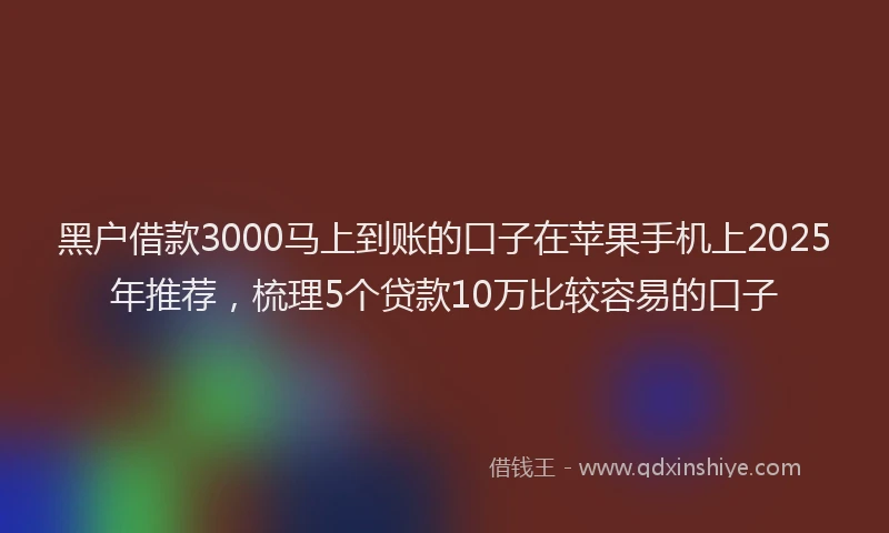 黑户借款3000马上到账的口子在苹果手机上2025年推荐，梳理5个贷款10万比较容易的口子