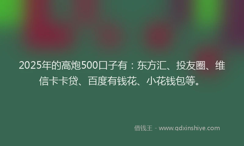 2025年的高炮500口子有：东方汇、投友圈、维信卡卡贷、百度有钱花、小花钱包等。