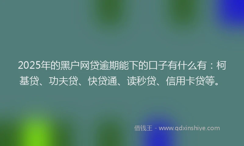 2025年的黑户网贷逾期能下的口子有什么有：柯基贷、功夫贷、快贷通、读秒贷、信用卡贷等。