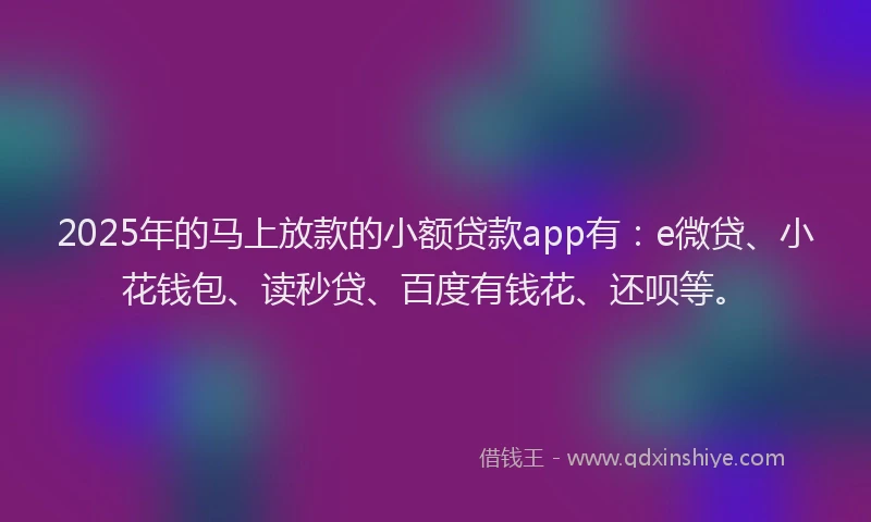 2025年的马上放款的小额贷款app有：e微贷、小花钱包、读秒贷、百度有钱花、还呗等。