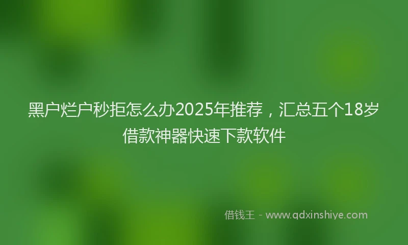 黑户烂户秒拒怎么办2025年推荐，汇总五个18岁借款神器快速下款软件