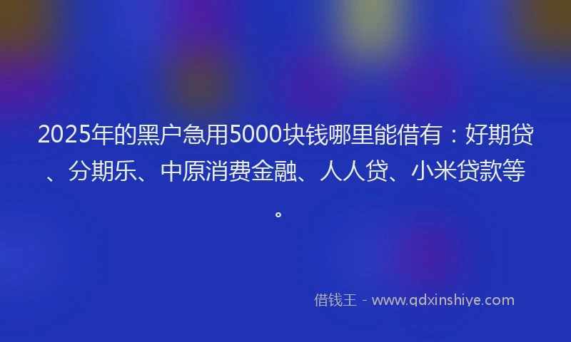 2025年的黑户急用5000块钱哪里能借有：好期贷、分期乐、中原消费金融、人人贷、小米贷款等。