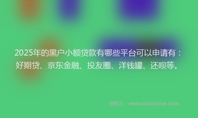 2025年的黑户小额贷款有哪些平台可以申请有：好期贷、京东金融、投友圈、洋钱罐、还呗等。