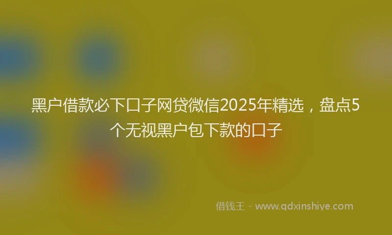 黑户借款必下口子网贷微信2025年精选，盘点5个无视黑户包下款的口子