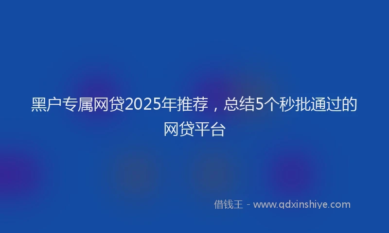 黑户专属网贷2025年推荐，总结5个秒批通过的网贷平台