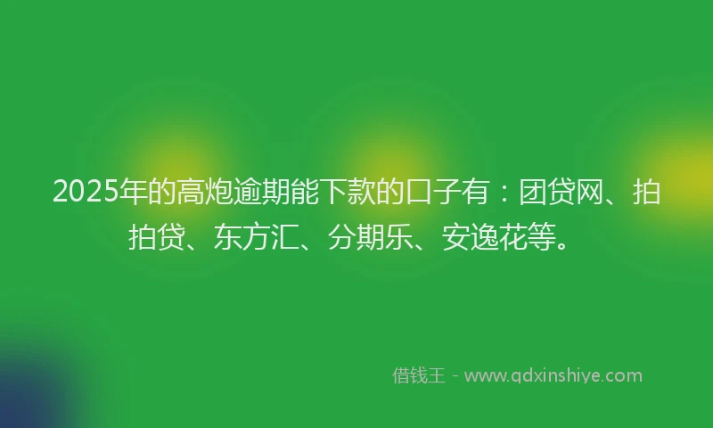 2025年的高炮逾期能下款的口子有：团贷网、拍拍贷、东方汇、分期乐、安逸花等。