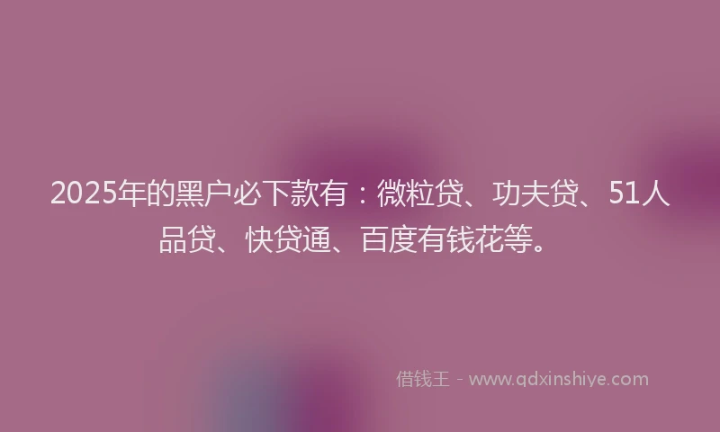 2025年的黑户必下款有：微粒贷、功夫贷、51人品贷、快贷通、百度有钱花等。