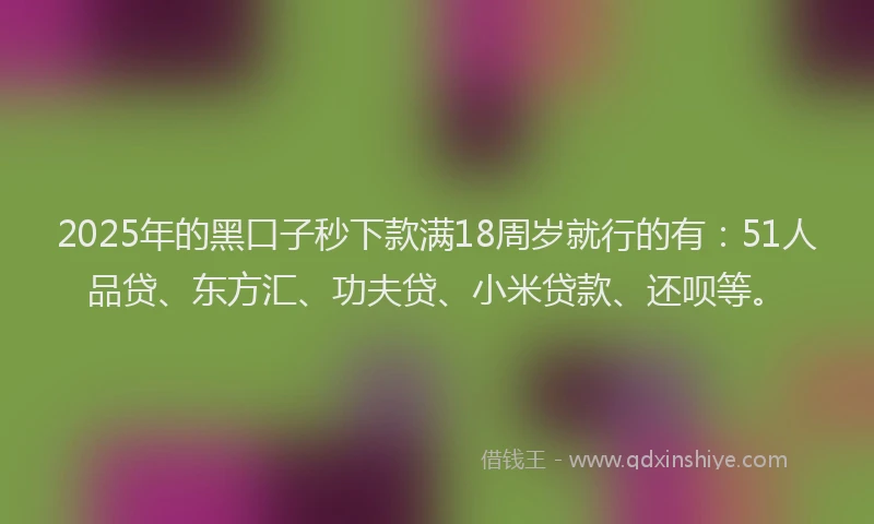 2025年的黑口子秒下款满18周岁就行的有：51人品贷、东方汇、功夫贷、小米贷款、还呗等。