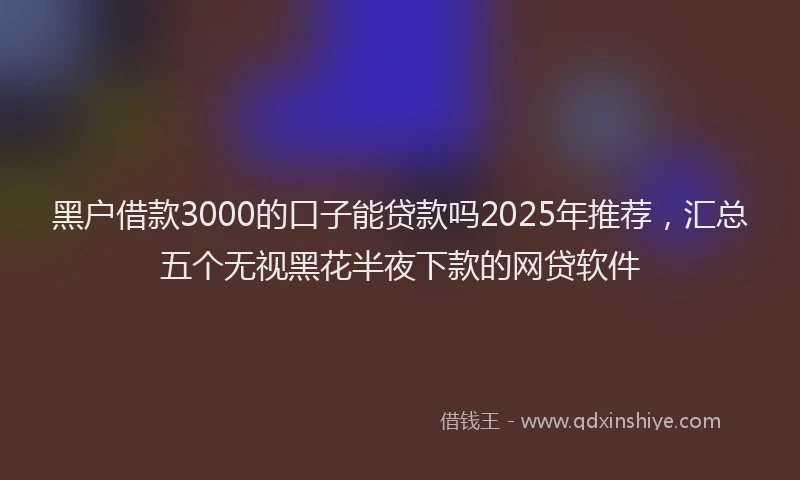 黑户借款3000的口子能贷款吗2025年推荐，汇总五个无视黑花半夜下款的网贷软件