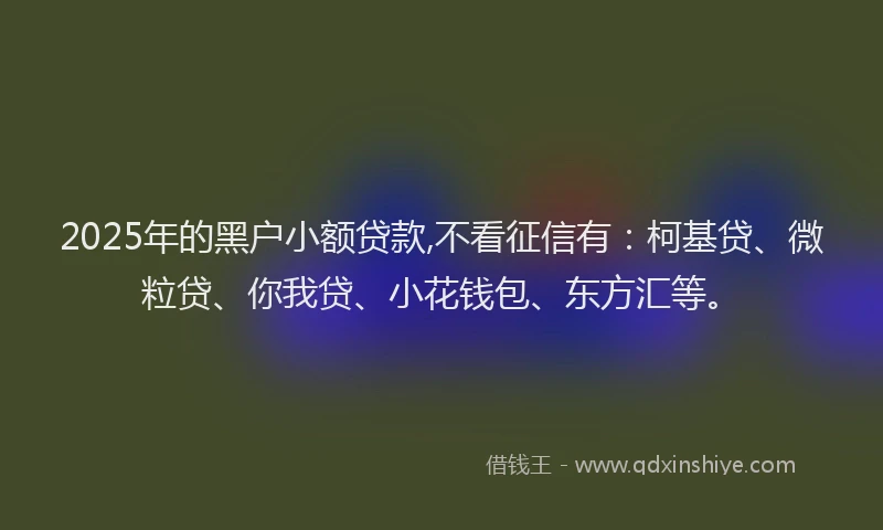 2025年的黑户小额贷款,不看征信有：柯基贷、微粒贷、你我贷、小花钱包、东方汇等。