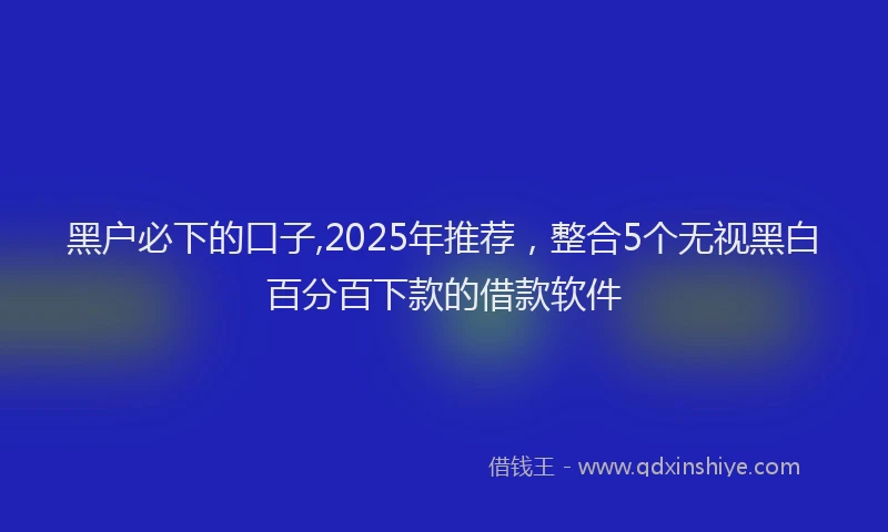 黑户必下的口子,2025年推荐，整合5个无视黑白百分百下款的借款软件