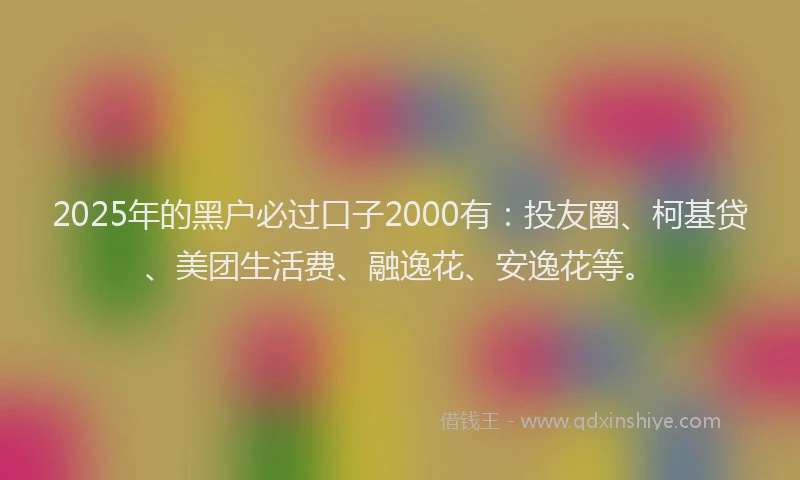 2025年的黑户必过口子2000有：投友圈、柯基贷、美团生活费、融逸花、安逸花等。