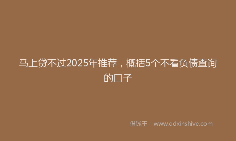 马上贷不过2025年推荐，概括5个不看负债查询的口子