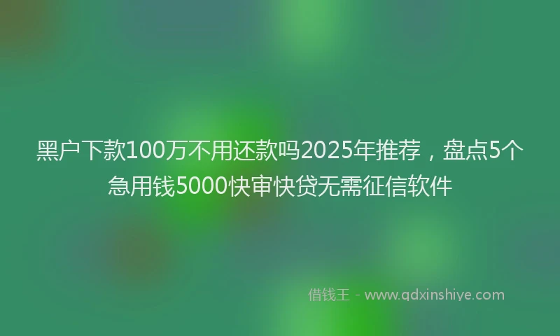 黑户下款100万不用还款吗2025年推荐，盘点5个急用钱5000快审快贷无需征信软件