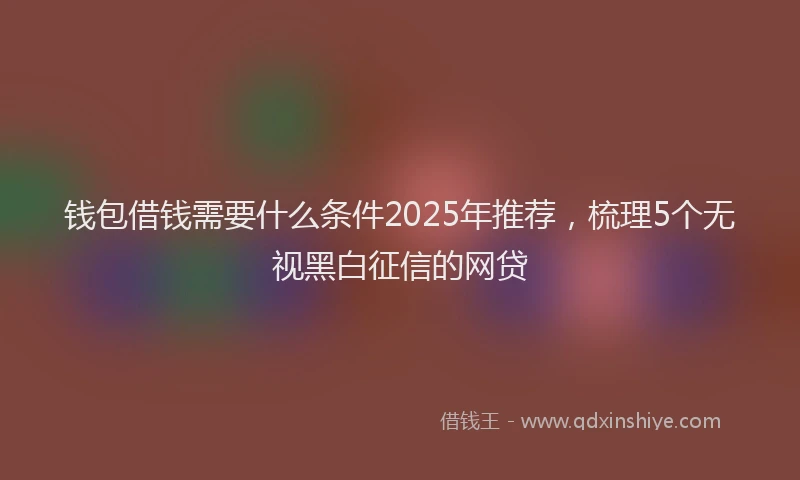 钱包借钱需要什么条件2025年推荐，梳理5个无视黑白征信的网贷