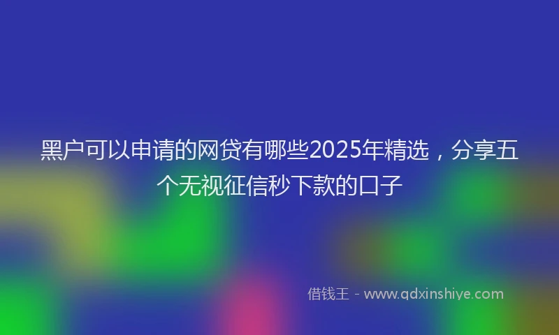 黑户可以申请的网贷有哪些2025年精选，分享五个无视征信秒下款的口子