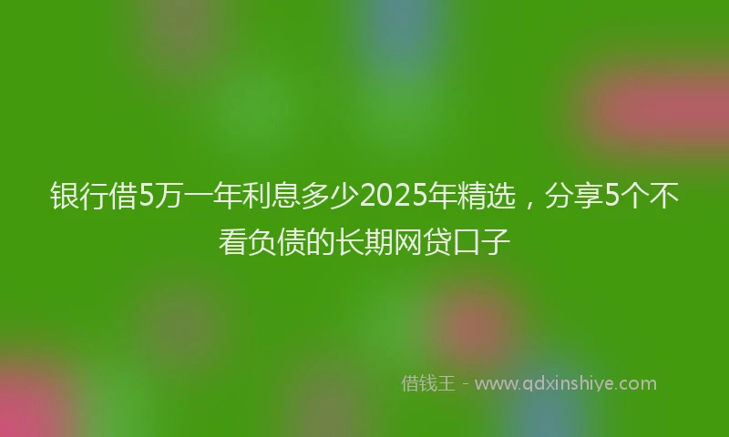 银行借5万一年利息多少2025年精选，分享5个不看负债的长期网贷口子
