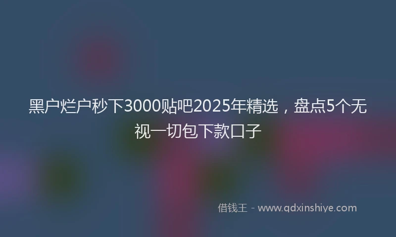 黑户烂户秒下3000贴吧2025年精选，盘点5个无视一切包下款口子