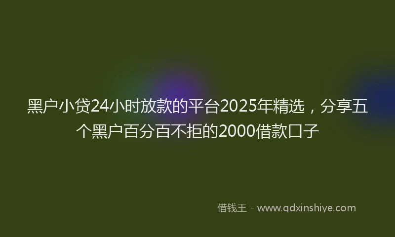 黑户小贷24小时放款的平台2025年精选，分享五个黑户百分百不拒的2000借款口子