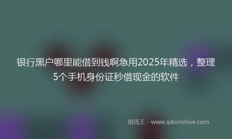 银行黑户哪里能借到钱啊急用2025年精选，整理5个手机身份证秒借现金的软件
