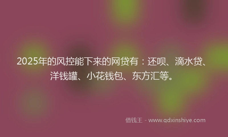 2025年的风控能下来的网贷有：还呗、滴水贷、洋钱罐、小花钱包、东方汇等。