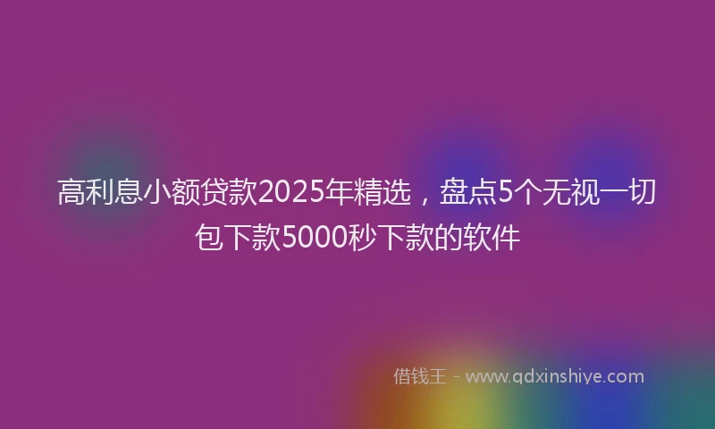 高利息小额贷款2025年精选，盘点5个无视一切包下款5000秒下款的软件
