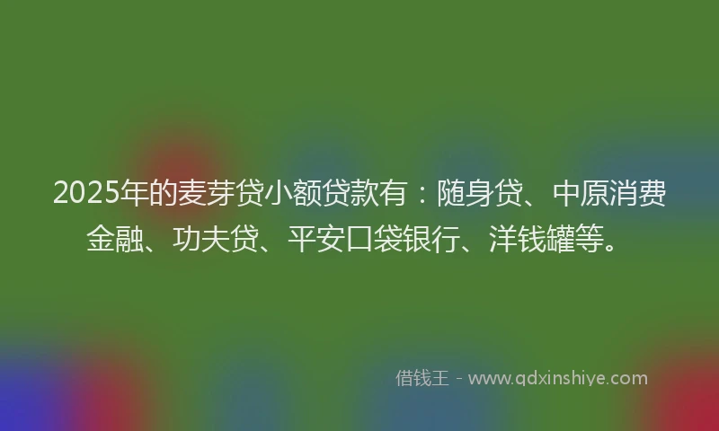 2025年的麦芽贷小额贷款有：随身贷、中原消费金融、功夫贷、平安口袋银行、洋钱罐等。