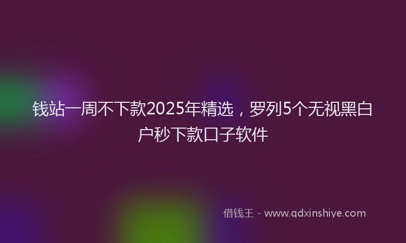 钱站一周不下款2025年精选，罗列5个无视黑白户秒下款口子软件
