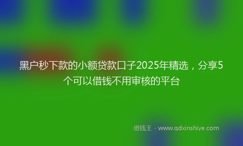 黑户秒下款的小额贷款口子2025年精选，分享5个可以借钱不用审核的平台